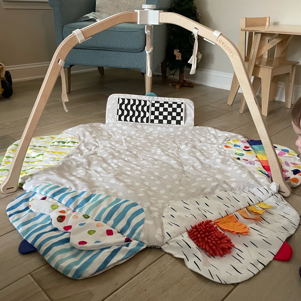Lovevery Play Gym